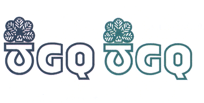Товарный знак № 32297 «JGQ»