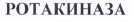Товарный знак № 35476 «РОТАКИНАЗА»