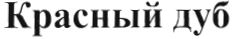 Товарный знак № 38744 «Красный дуб»