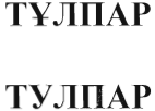Товарный знак № 39902 «ТҰЛПАР/ТУЛПАР»