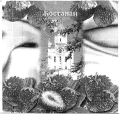 Товарный знак № 37242 «Костанай»