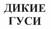 Товарный знак № 37043 «ДИКИЕ ГУСИ»