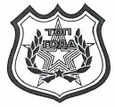 Товарный знак № 38078 «ТОП ГОДА»