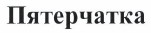 Товарный знак № 38395 «Пятерчатка»