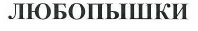 Товарный знак № 39399 «ЛЮБОПЫШКИ»