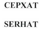 Товарный знак № 43119 «СЕРХАТ SERHAT»