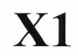 Товарный знак № 43270 «X1»