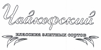 Товарный знак № 47929 «Чайкофский классика элитных сортов ( ко…»