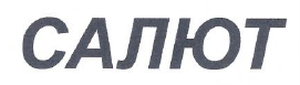 Товарный знак № 47651 «САЛЮТ»