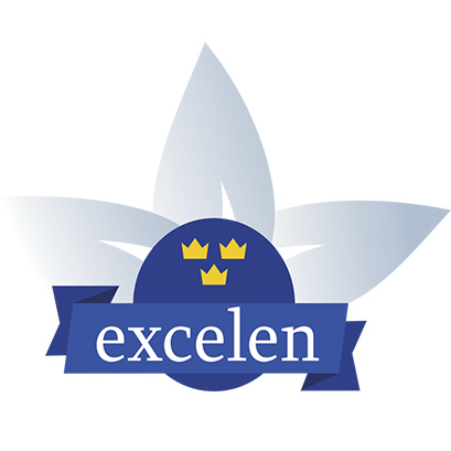 Товарный знак № 48707 «Excelen»