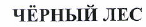 Товарный знак № 48782 «ЧЕРНЫЙ ЛЕС»