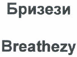 Товарный знак № 48967 «Бризези Breathezy»