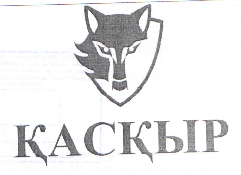 Товарный знак № 51066