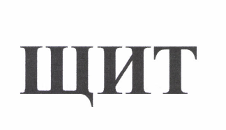 Товарный знак № 50252 «ЩИТ»