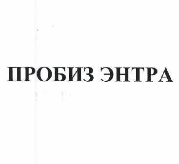 Товарный знак № 51468 «ПРОБИЗ ЭНТРА»