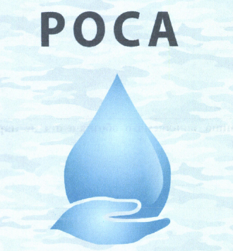 Товарный знак № 51239 «РОСА»