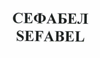 Изображение: Товарный знак № 51306