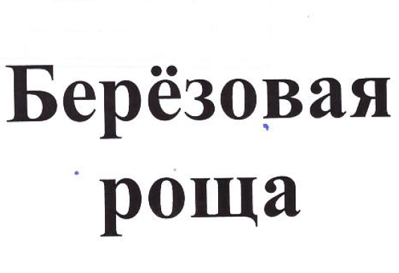 Товарный знак № 53360 «Берёзовая роща»