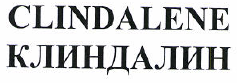 Изображение: Товарный знак № 52980