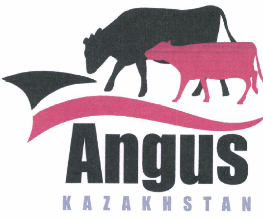 Товарный знак № 53681 «Angus K A Z A K H S T A N»
