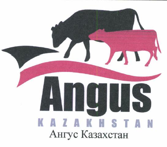 Товарный знак № 53682 «Ангус Казахстан»