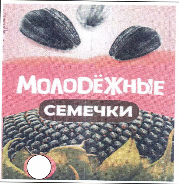 Товарный знак № 54081 «МОЛОDЁЖНЫЕ СЕМЕЧКИ»