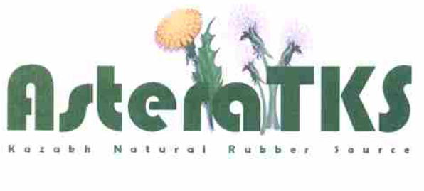 Товарный знак № 54609 «AsteraTKS KAZAKH NATURAL RUBBER SOURCE»
