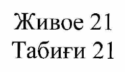 Изображение: Товарный знак № 55041