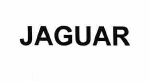 Товарный знак № 55604 «JAGUAR»