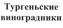 Товарный знак № 55253 «Тургеньские виноградники»