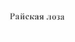 Товарный знак № 55098 «РАЙСКАЯ ЛОЗА»