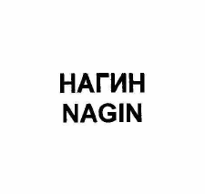 Товарный знак № 55844 «НАГИН NAGIN»