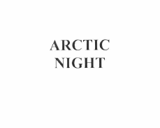 Товарный знак № 56477 «ARCTIC NIGHT»