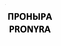 Товарный знак № 57197 «ПРОНЫРА PRONYRA»