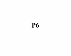 Товарный знак № 57409 «P6»