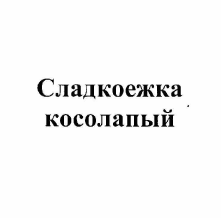 Товарный знак № 56906 «Сладкоежка косолапый»