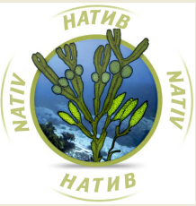 Товарный знак № 57495 «NATIV НАТИВ»