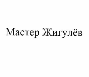 Товарный знак № 58331 «Мастер Жигулёв»