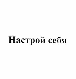 Товарный знак № 58035 «Настрой себя»