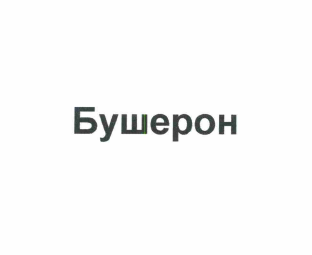 Товарный знак № 58091 «Бушерон»