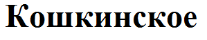 Товарный знак № 59111 «Кошкинское»