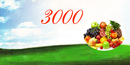 Товарный знак № 59406 «3000»