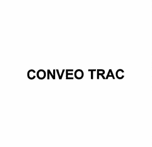 Товарный знак № 60096