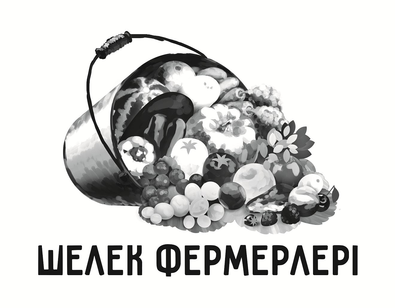 Товарный знак № 59951 «Шелек Фермерлерi»