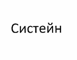 Товарный знак № 60513 «Систейн»