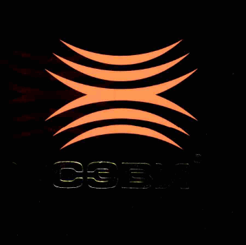 Товарный знак № 61369 «СЭВИ R»