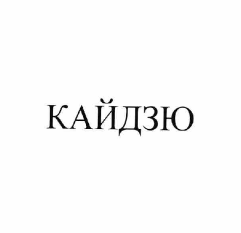 Товарный знак № 64221 «КАЙДЗЮ»