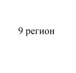 Товарный знак № 61995 «9 регион»