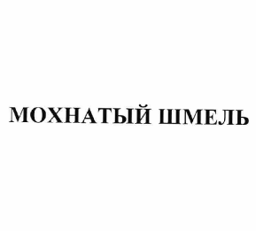 Товарный знак № 62404 «МОХНАТЫЙ ШМЕЛЬ»