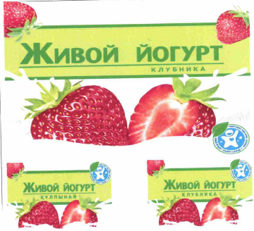 Товарный знак № 63455 «Живой йогурт клубника құлпынай Живой пр…»